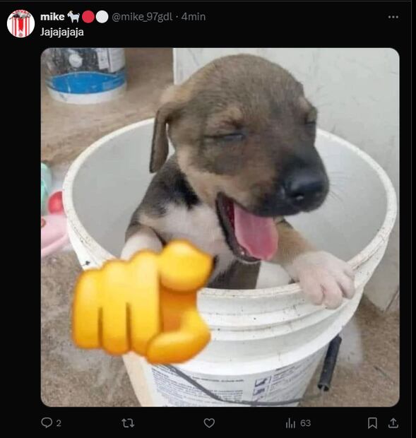 Los MEJORES MEMES de la derrota polémica de Pumas