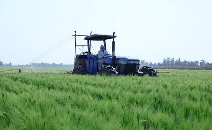 La mayor cervecera será sustentable en todos sus procesos para 2025