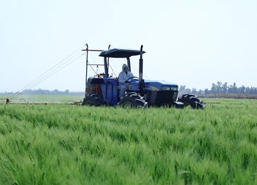 La mayor cervecera será sustentable en todos sus procesos para 2025