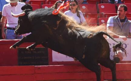 "Ni en contra ni a favor": Sheinbaum sobre corridas de toros en CDMX