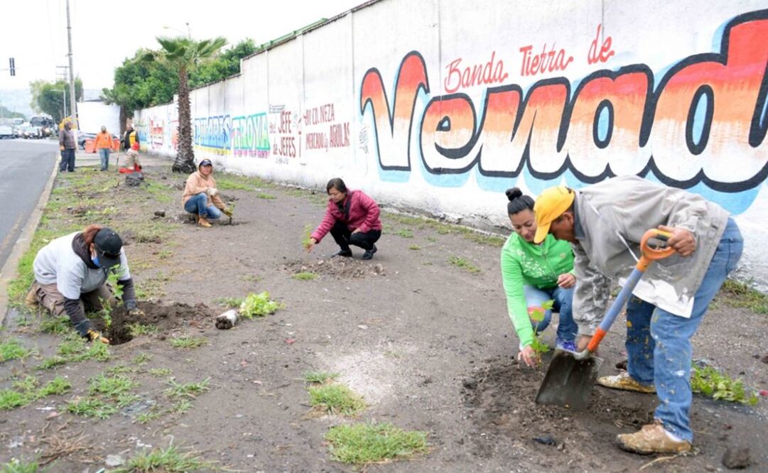 Para combatir la emisión de contaminantes, autoridades anunciaron que se sembrarán otros 10 mil árboles en camellones, parques recreativos y espacios deportivos. Foto: Especial