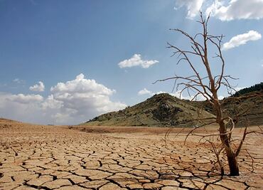 Daños económicos por sequías subirán al menos 35% en una década: OCDE; afirma que soluciones prácticas reducirían la vulnerabilidad