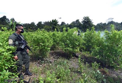 Canciller colombiana, Laura Sarabia pide a la ONU retirar la hoja de coca del listado de sustancias prohibidas