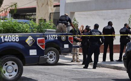 Localizan sembradíos de marihuana en Yucatán