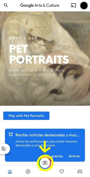 Esta app te ayuda a encontrar el gemelo de tu perrito en ¡obras de arte!