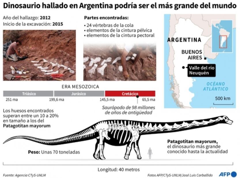 Dinosaurio hallado en Argentina podría ser el de mayor tamaño conocido hasta ahora