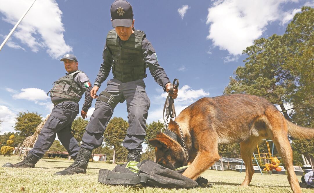 En la Subdirección de Montados, Caninos y GAMA hay perros entrenados y activos; los más solicitados desde hace un año y medio son los especializados en la búsqueda de personas y de cadáveres, dijo el titular, Humberto Aguilar Valdés. Fotos: JORGE ALVARADO