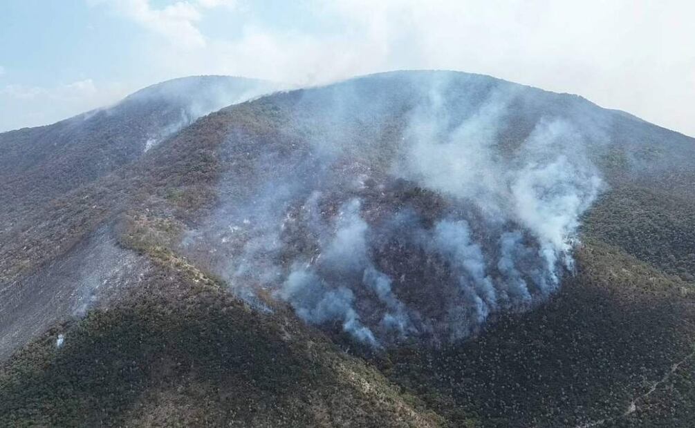 El incendio afecta varios puntos del estado de Oaxaca (08/05/2025). Foto: Especial