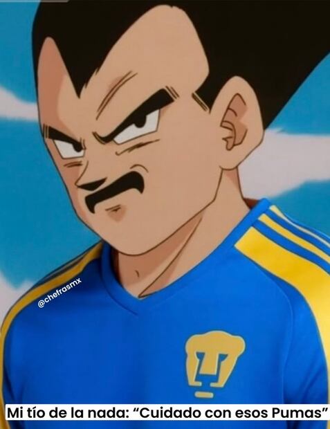 Pumas MEMES