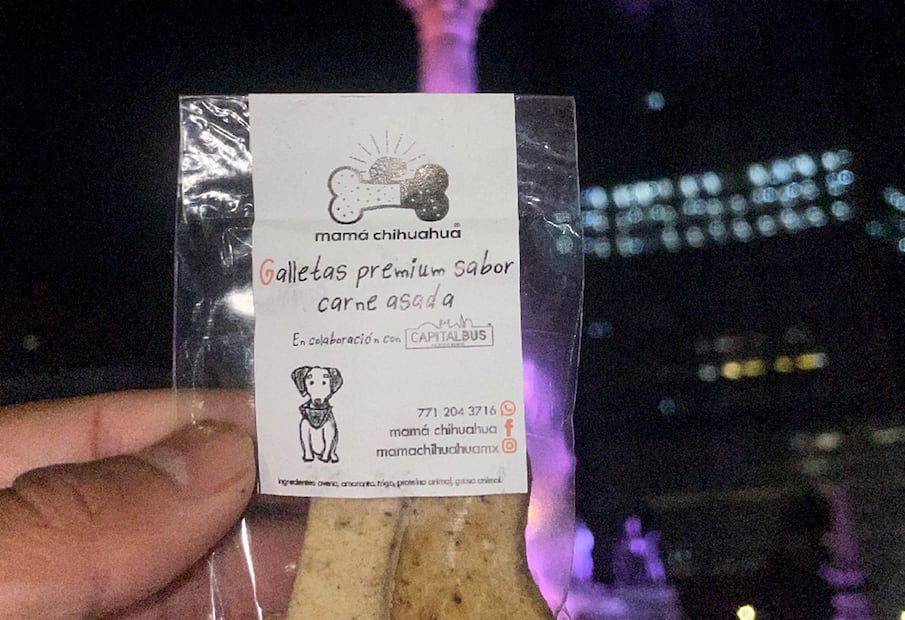 Patitas de Perro Night Tour. Foto: Capital Bus