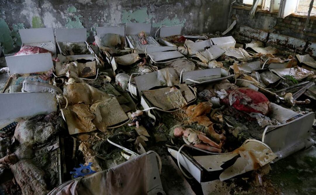 A pesar de la radiación que todavía está presente, los animales no se ven afectados. Foto: Archivo