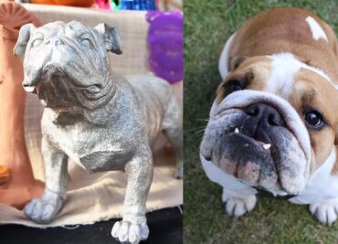 GP de México: Roscoe, el perro fallecido de Lewis Hamilton, está presente en la ofrenda de Día de Muertos del AHR