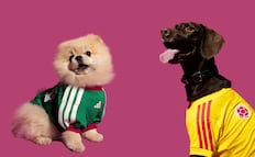 Adidas lanza jerseys para perros inspirados en el Mundial 2026