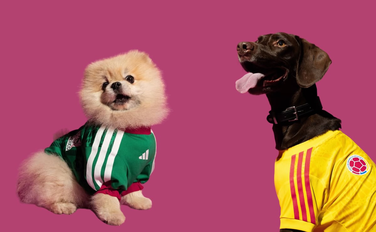 Las mascotas también podrán usar el jersey de México: Adidas lanza colección pet rumbo al Mundial 2026