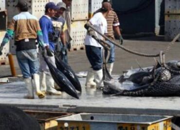 U.S. expands tougher 'dolphin-safe' rules around the world