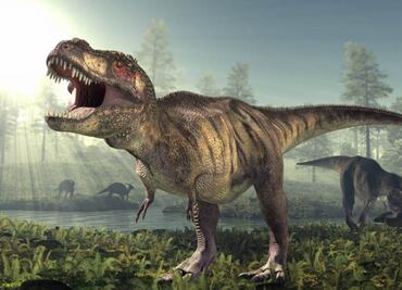 Dientes de T. Rex tenían forma de sierra