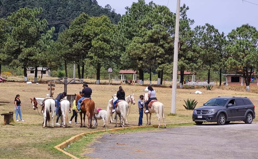 Comerciantes señalaron que la inseguridad en la zona es latente
