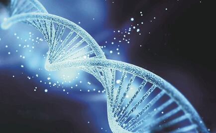 Científicos identifican “gen de la juventud”