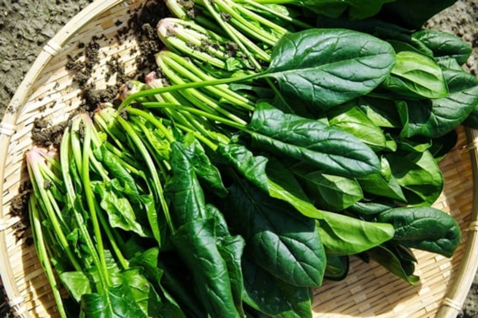 Estos alimentos ayudan al fortalecimiento de las rodillas