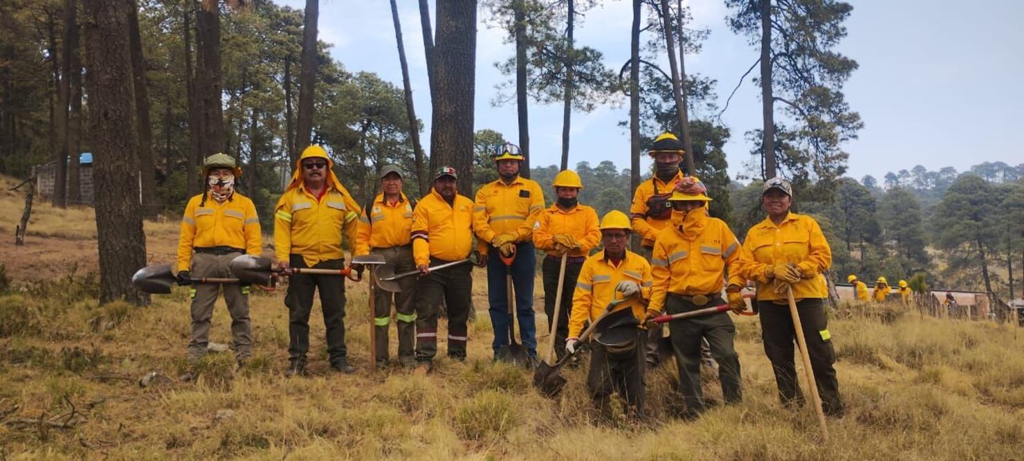 Más de dos mil brigadistas están vigilantes para atender cualquier incendio forestal en la Ciudad de México, asegura la Sedema. (Foto: especial)