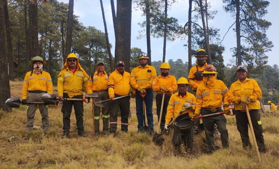 Más de dos mil brigadistas están vigilantes para atender cualquier incendio forestal en la Ciudad de México, asegura la Sedema. (Foto: especial)