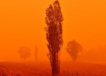 Australia batalla por combatir "megaincendio" que se formó por la fusión de dos fuegos