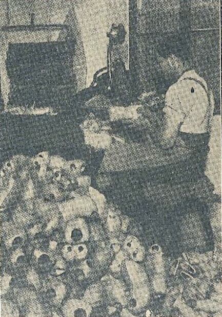 Las extravagantes muñecas europeas