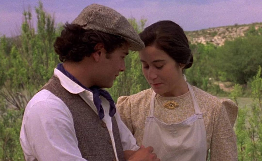 En 1992 la película "Como agua para chocolate", dirigida por Alfonso Arau fue el estandarte de lo que el gobierno acuñó como Nuevo Cine Mexicano.