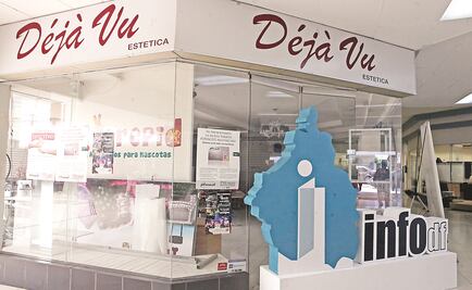 Comisionada del InfoCDMX emitió opinión de candidata