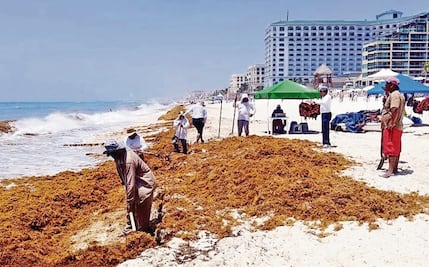 Congreso solicitará al gobierno federal atender tema del sargazo