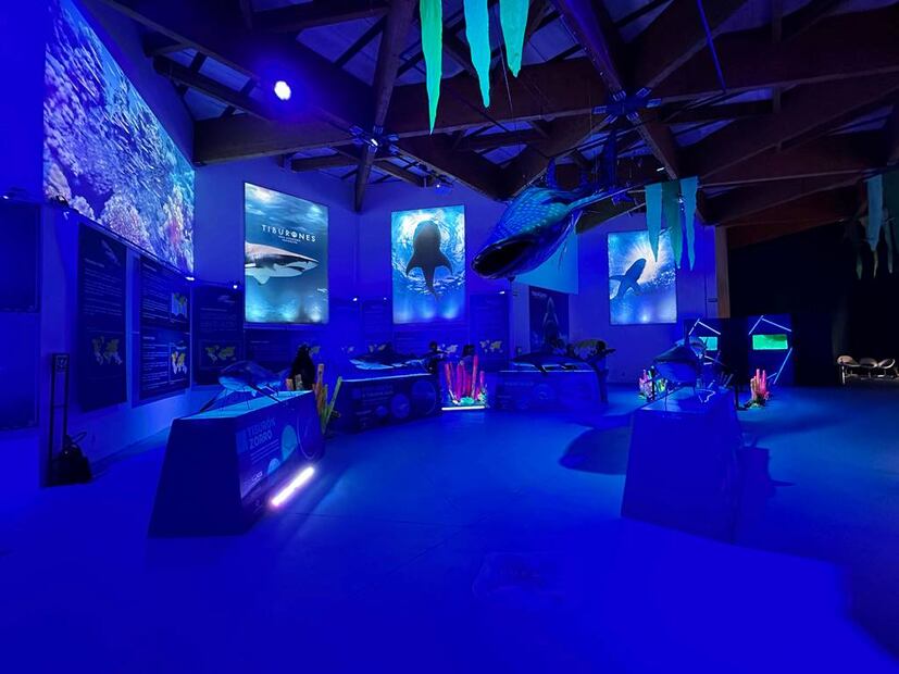 Foto: Omar Moreno/El Universal