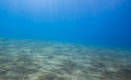Los sedimentos marinos pueden indicar el futuro del calentamiento global