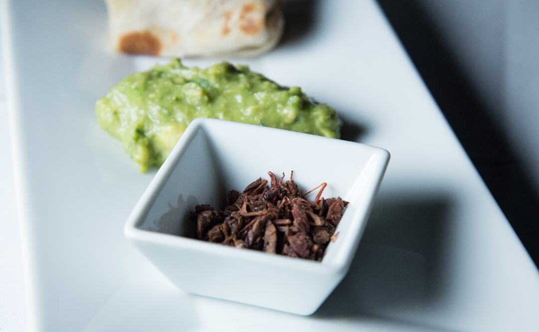 Grasshoppers served with guacamole and tortillas - Photo: Hector Arjona/EL UNIVERSAL
