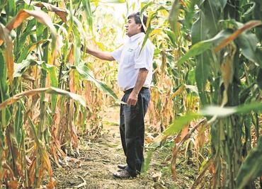 Ven en los bioinsumos una alternativa contra la inflación