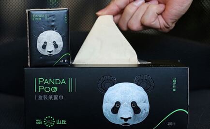 Transformarán el excremento de panda en productos de papel