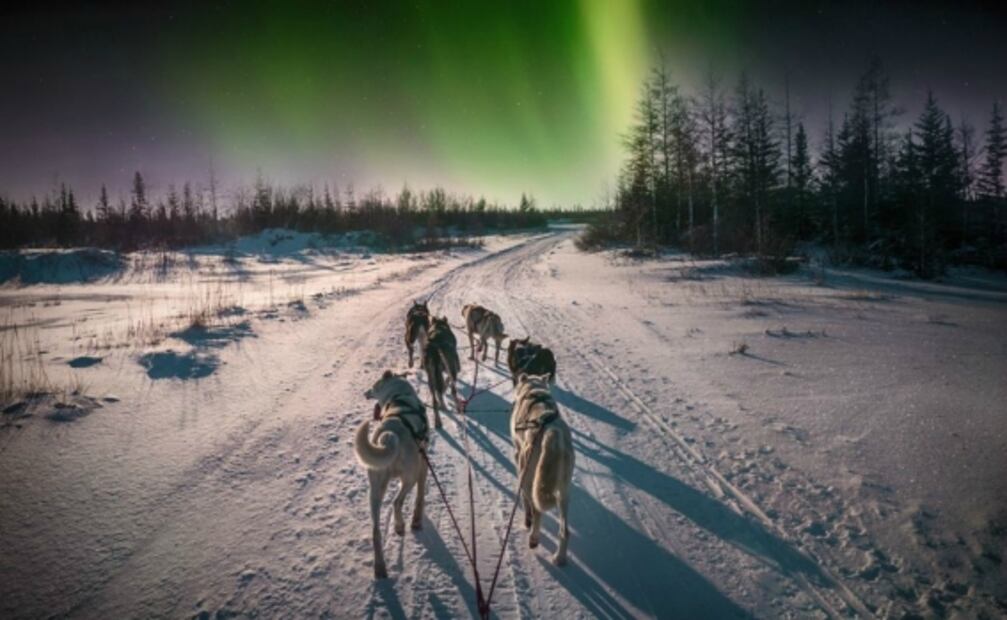 Recorridos y hoteles que debes buscar durante el Buen Fin 2020