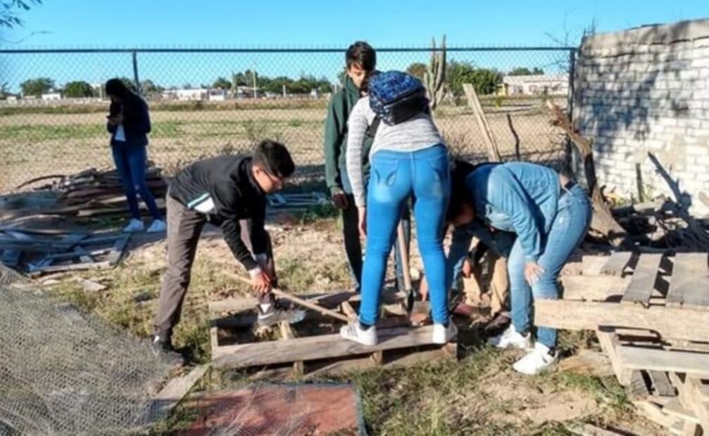 Estudiantes de secundaria construyen cuarto a compañero con papel reciclado en Sonora