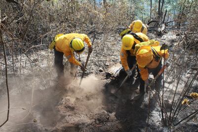 Continua incendio en cerro de Tancítaro, Michoacán
