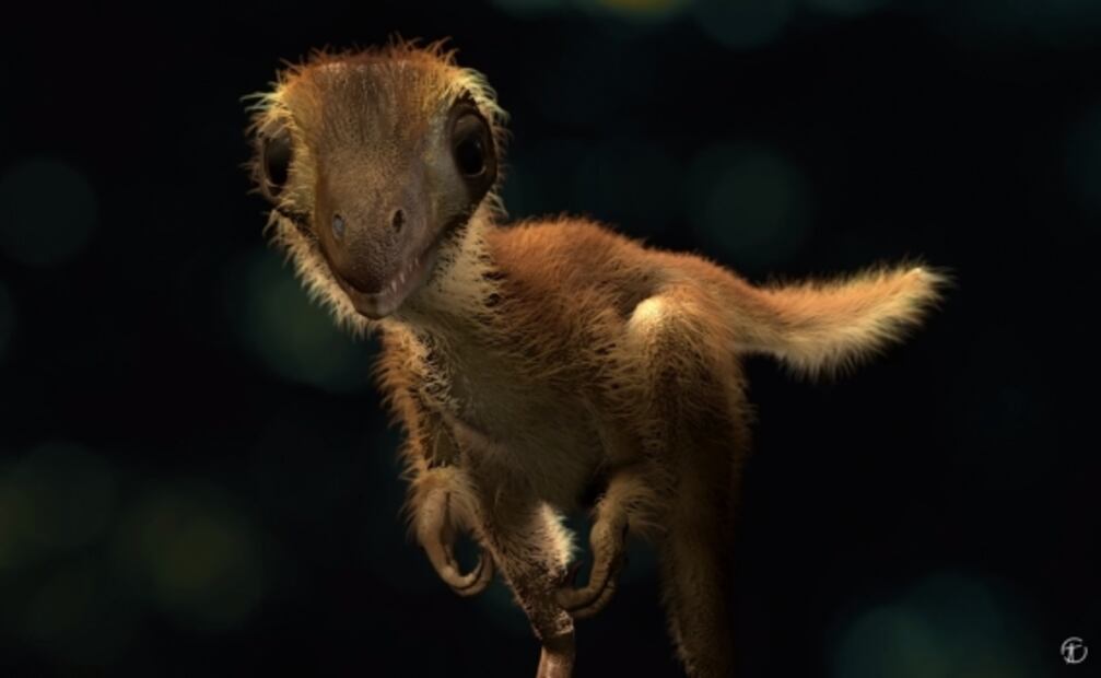 Así imaginan a los Tiranosaurios Rex de bebés