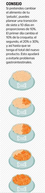 ¿Le das sobras y croquetas? ten cuidado, tu mascota puede vivir menos