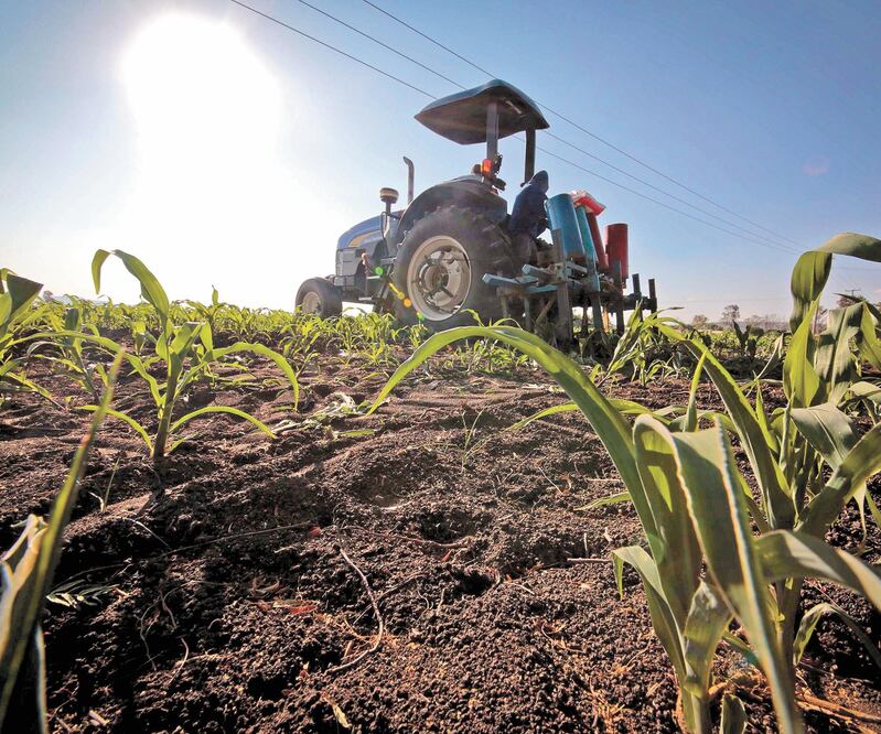 Riesgos a productores. El sector agropecuario se verá afectado por la reducción de 38% en sus recursos, informó Marko Cortés. ARCHIVO EL UNIVERSAL