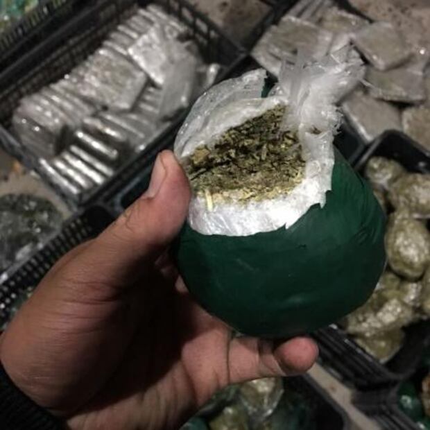PGR decomisa frutas y verduras rellenas de marihuana en Jalisco