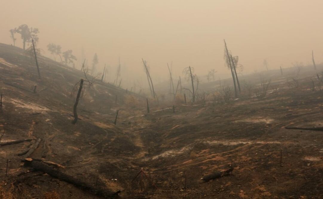 Hills are bare after being burned in the Carr Fire near Igo, California, U.S. - Photo: Bob Strong/Reuters
