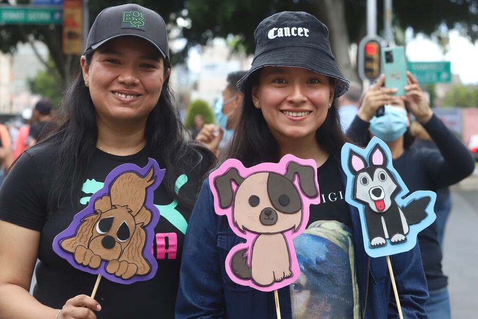 Marcha ciudadana por los Derechos de los animales, salida desde el Ángel de la Independencia con dirección al Zócalo. Fotos: Berenice Fregoso /El universal