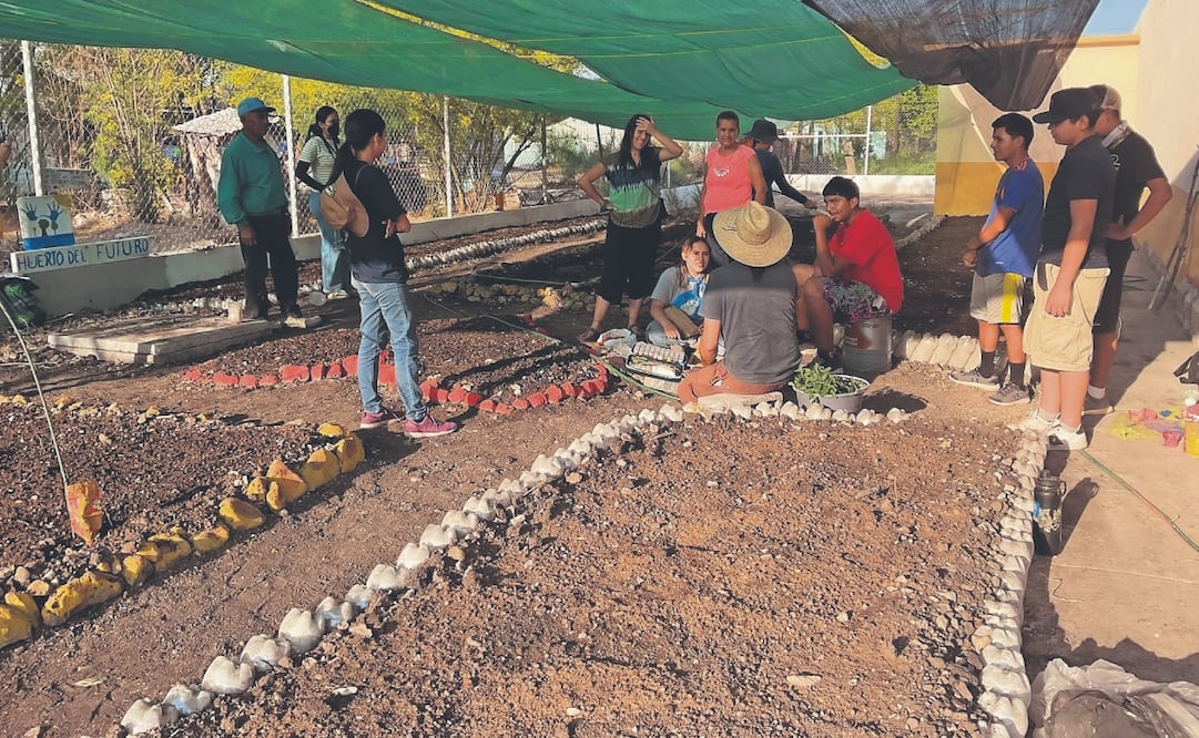 En los huertos se ha sembrado albahaca, tomate, cebollas, zanahorias, flores, calabazas, melones, sandías, todo tipo de chiles, cilantro, perejil y hierbas. Foto: Especial