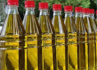 Día de la Tierra: ¿Dónde reciclar el aceite de cocina usado en CDMX?