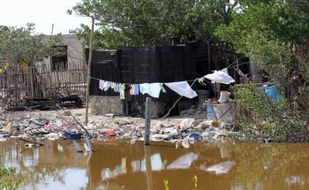 Ssa recomienda medidas contra el chikungunya