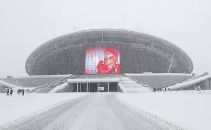 ONU pide a Rusia erradicar racismo antes del Mundial