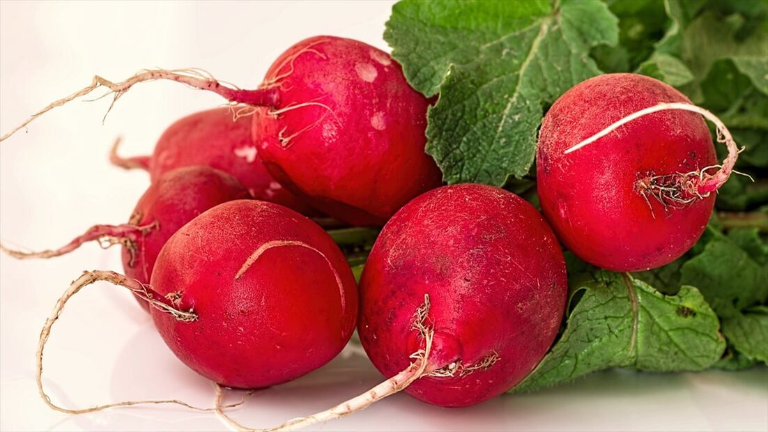 El rábano tiene un sabor fresco con un toque picante. Foto: Pixabay