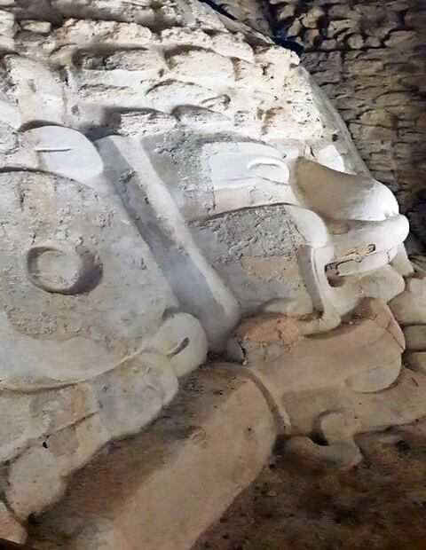 Mascarón de la zona arqueológica de Chakanbakan que descubrió Fernando Cortés de Brasdefer, arqueólogo del Centro INAH Quintana Roo y responsable de esa área. Fotos:Juan Manuel Sandoval